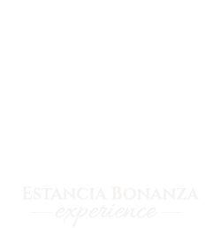 logoExperience